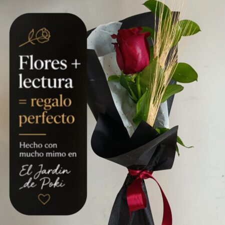 Regalo especial Día del Libro 🌿📚